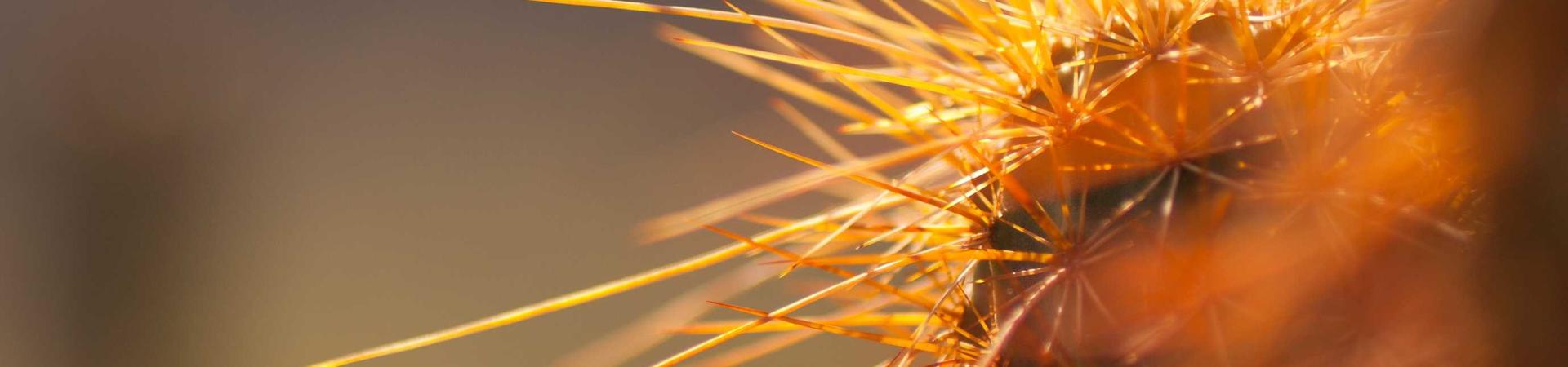 济南华士诚环保设备有限公司 &middot; 绥化运营中心